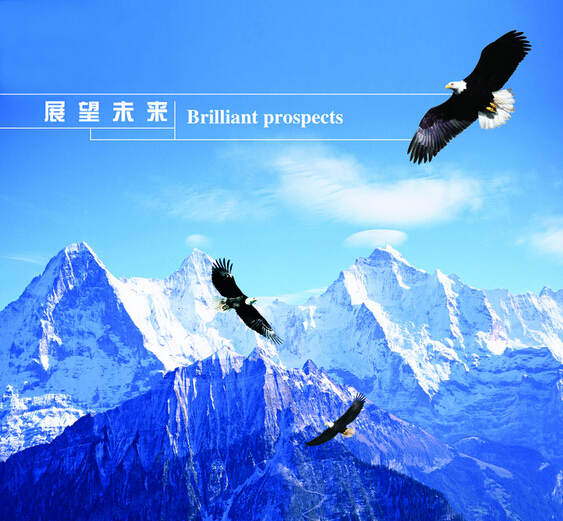 河北萬(wàn)環(huán)環(huán)?？萍加邢薰?></a>
            </dt>
            <dd>
                <h4><a href=